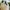 Polo Ralph Lauren Vintage Hat Pria white photo 4