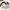 Sportswear Bomber jacket Pria white black photo 2