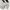 Sportswear Bomber jacket Pria white black photo 5