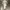 Luxury Minimalist Wanita white photo 2