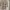 GAP Indie Coquette Casual dress Wanita multicolor photo 1