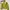 Sophie Martin Casual Crop top Wanita green photo 2