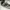 Nike Streetwear Sneakers Pria black photo 3