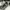 Nike Streetwear Sneakers Pria black photo 4