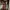ZARA Luxury Flare pants Wanita brown photo 1