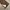 ZARA Luxury Flare pants Wanita brown photo 6