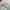 WHO.A.U Minimalist Sweatshirt Pria green photo 2
