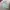 WHO.A.U Minimalist Sweatshirt Pria green photo 1