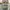 Guess Y2K Luxury Shoulder Bag Wanita Green Brown