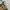 Guess Y2K Luxury Shoulder bag Wanita green brown photo 4