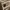 Vintage Streetwear Jeans Pria tan photo 2