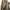 Vintage Streetwear Jeans Pria tan photo 3