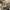 Burberry Vintage Luxury Handbag Wanita tan brown photo 3