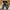 Streetwear Casual Casual shoe Pria brown photo 1