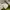 Balenciaga Y2K Luxury Shoulder bag Wanita white green photo 8