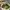 Balenciaga Y2K Luxury Shoulder bag Wanita white green photo 7