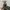 Burberry Y2K Luxury Shoulder bag Wanita red brown photo 4