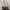 Burberry Y2K Luxury Shoulder bag Wanita red brown photo 1