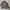H&M Casual Sweatshirt Pria gray photo 1