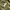 Pull & Bear Casual Hoody Pria green photo 4