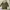 Pull & Bear Casual Hoody Pria green photo 1
