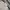 Adidas Minimalist Polo shirt Pria white photo 2