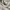 Pull & Bear Casual Hoody Pria silver white photo 2