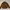 H&M Casual Bomber Jacket Pria Brown