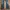 Diesel Vintage Streetwear Flare pants Wanita blue photo 3