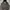 Minimalist Hoody Pria black photo 1