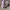 Converse Casual Casual shoe Pria purple photo 1