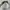 Topi Father Riffle Classic Two Tone Slazenger photo 3