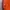 Adidas Streetwear Sportswear Short Pria orange blue photo 5