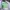 Skater Sportswear Hoody Pria multicolor white photo 4