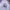 Skater Sportswear Hoody Pria multicolor white photo 5