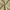 Casual Casual pants Pria khaki photo 4