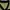 Adidas Casual Jersey Pria khaki black photo 4