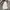 Napapijri Streetwear Y2K Casual Pants Pria White