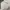 Napapijri Streetwear Y2K Casual pants Pria white photo 5