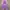 GAP Streetwear Casual Hoody Pria purple white photo 2