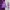 GAP Streetwear Casual Hoody Pria purple white photo 1