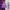 GAP Streetwear Casual Hoody Pria Purple White