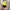 Atasan Neon Peplum Top photo 4