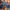 Miss Me Y2K Flare pants Wanita multicolor blue photo 2