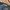 Miss Me Y2K Flare pants Wanita multicolor blue photo 3