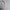 Coquette Casual Maxi dress Wanita pink photo 4