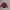 Uniqlo Minimalist Casual Casual shirt Pria burgundy photo 3