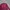 Uniqlo Minimalist Casual Casual shirt Pria burgundy photo 1