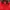 Adidas Sportswear Track jacket Pria red photo 4