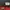 Adidas Sportswear Track jacket Pria red photo 8